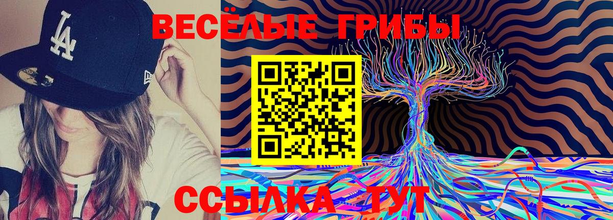 Псилоцибиновые грибы Cubensis Троицк