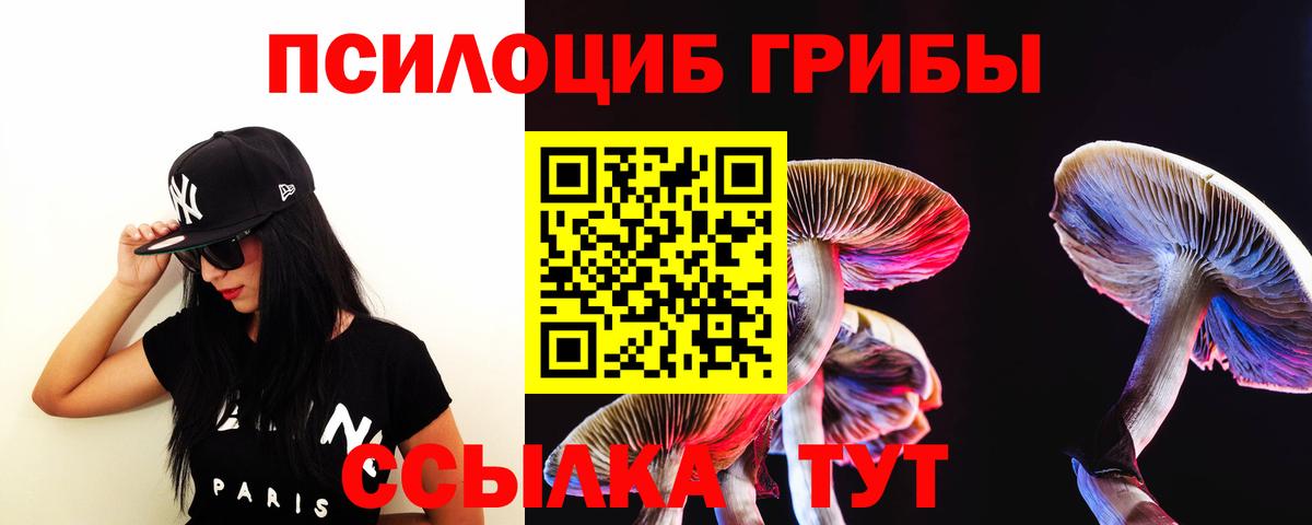 Галлюциногенные грибы Psilocybine cubensis  Псилоцибиновые грибы ЛСД  Вход с VPN  Троицк 